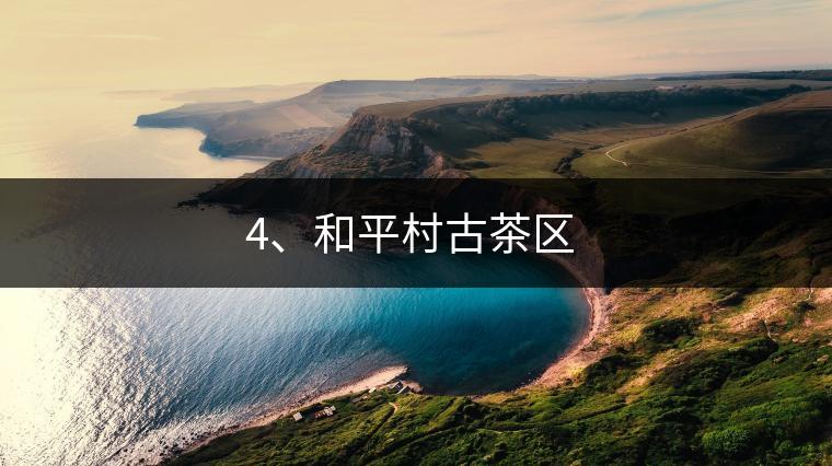 4、和平村古茶區(qū) ?