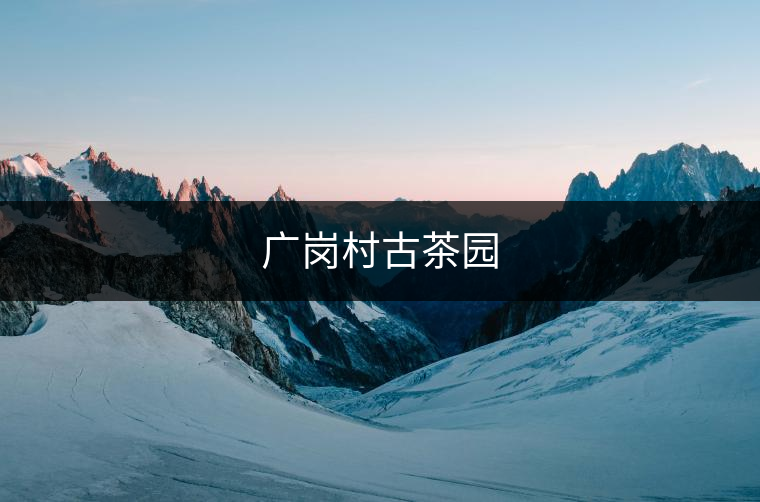 ?勐混鎮(zhèn)古茶樹資源優(yōu)勢