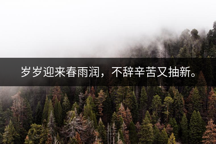 歲歲迎來春雨潤(rùn)，不辭辛苦又抽新。