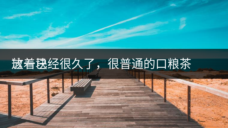 這一塊
放著已經(jīng)很久了，很普通的口糧茶，煙味很重，但回甘也可以，隨意喝喝吧。