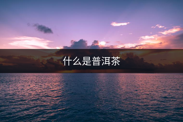 什么是普洱茶