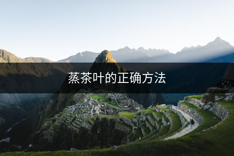 蒸茶葉的正確方法 蒸茶葉的正確方法