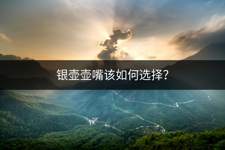 銀壺壺嘴該如何選擇？