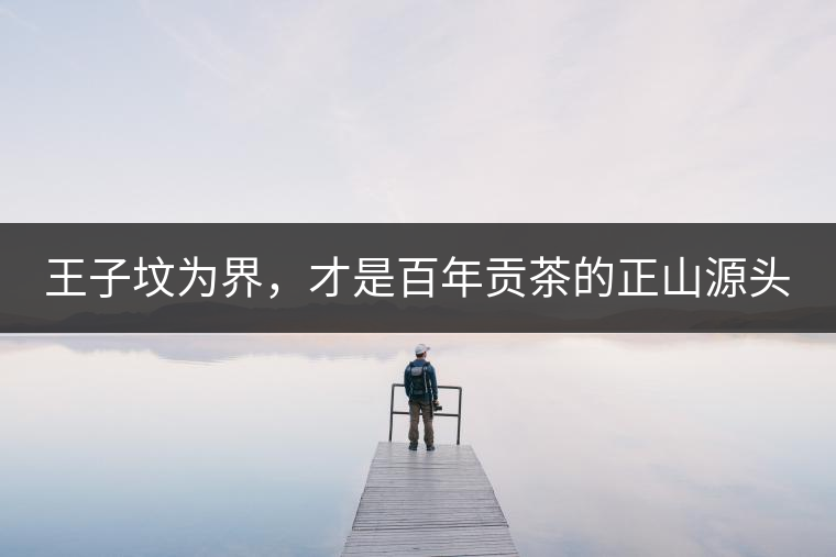 王子墳為界，才是百年貢茶的正山源頭