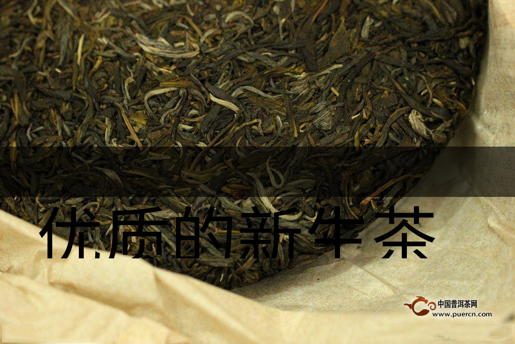 優(yōu)質(zhì)的新生茶是什么樣的？