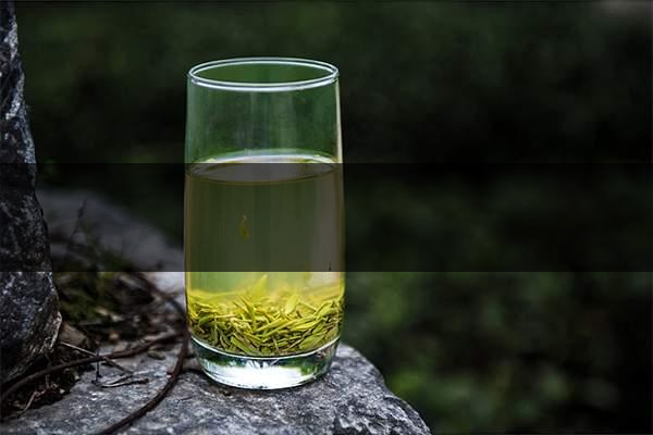 pick春茶攻略！