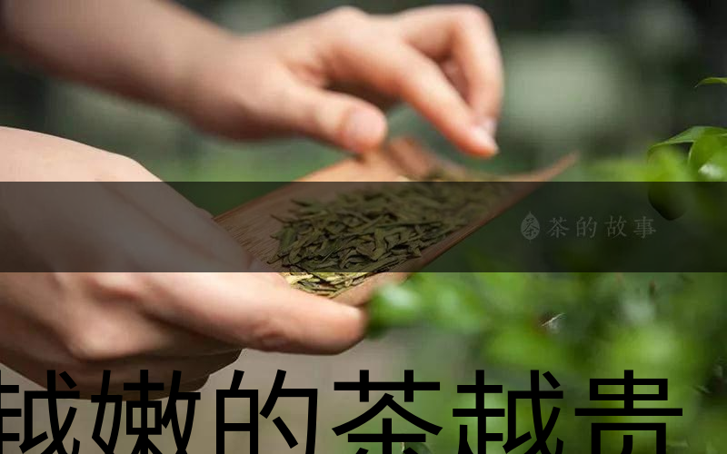 越嫩的茶越貴，但越貴的茶就越好嗎？