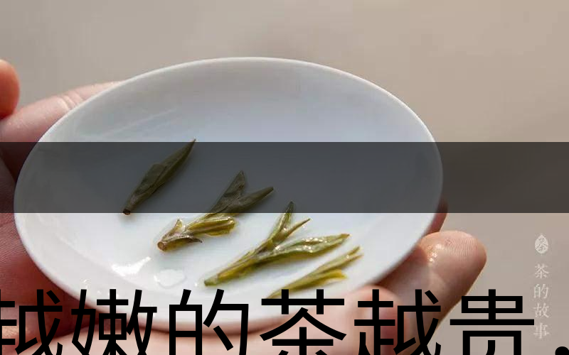 越嫩的茶越貴，但越貴的茶就越好嗎？-3