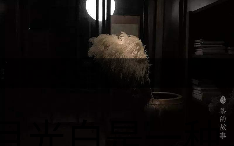 月光白是一種什么茶？