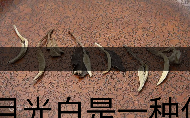 月光白是一種什么茶？-1