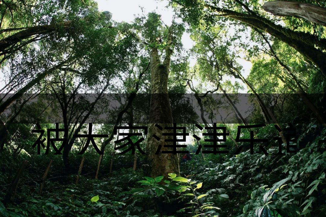 被大家津津樂道的森林茶，你知道是什么？-6-1