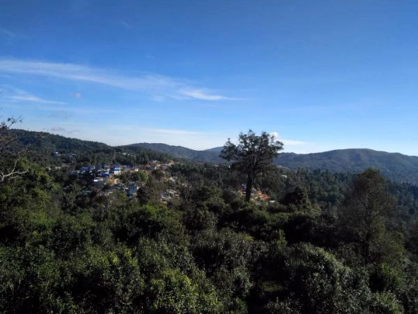 蘭香賀開，甘甜賀開