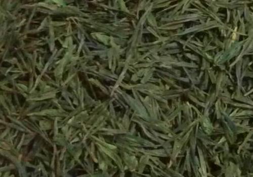 什么是海青茶？沖泡手法詳細(xì)教學(xué)！