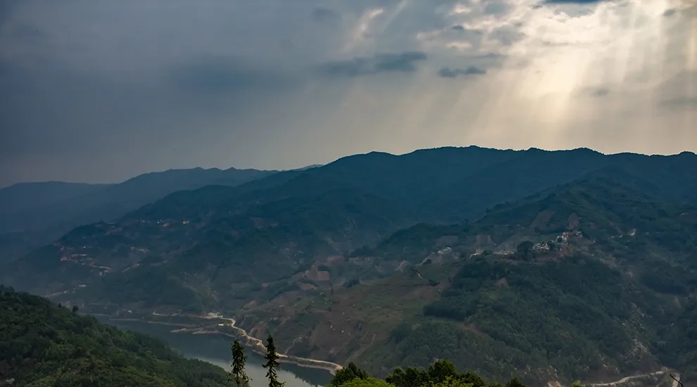 2021年磨烈：風(fēng)頭正勁的后起之秀，到底有何特點(diǎn)？