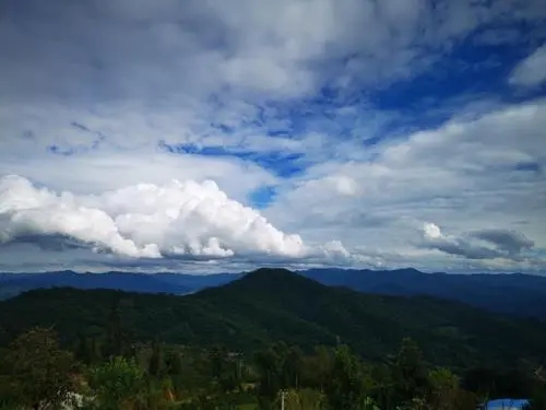 2021年那罕古樹秋茶口感？