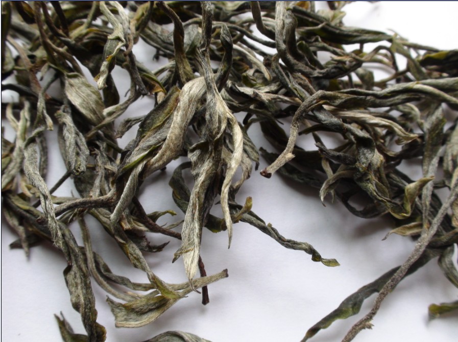 2021年馬鞍山古樹秋茶價格？