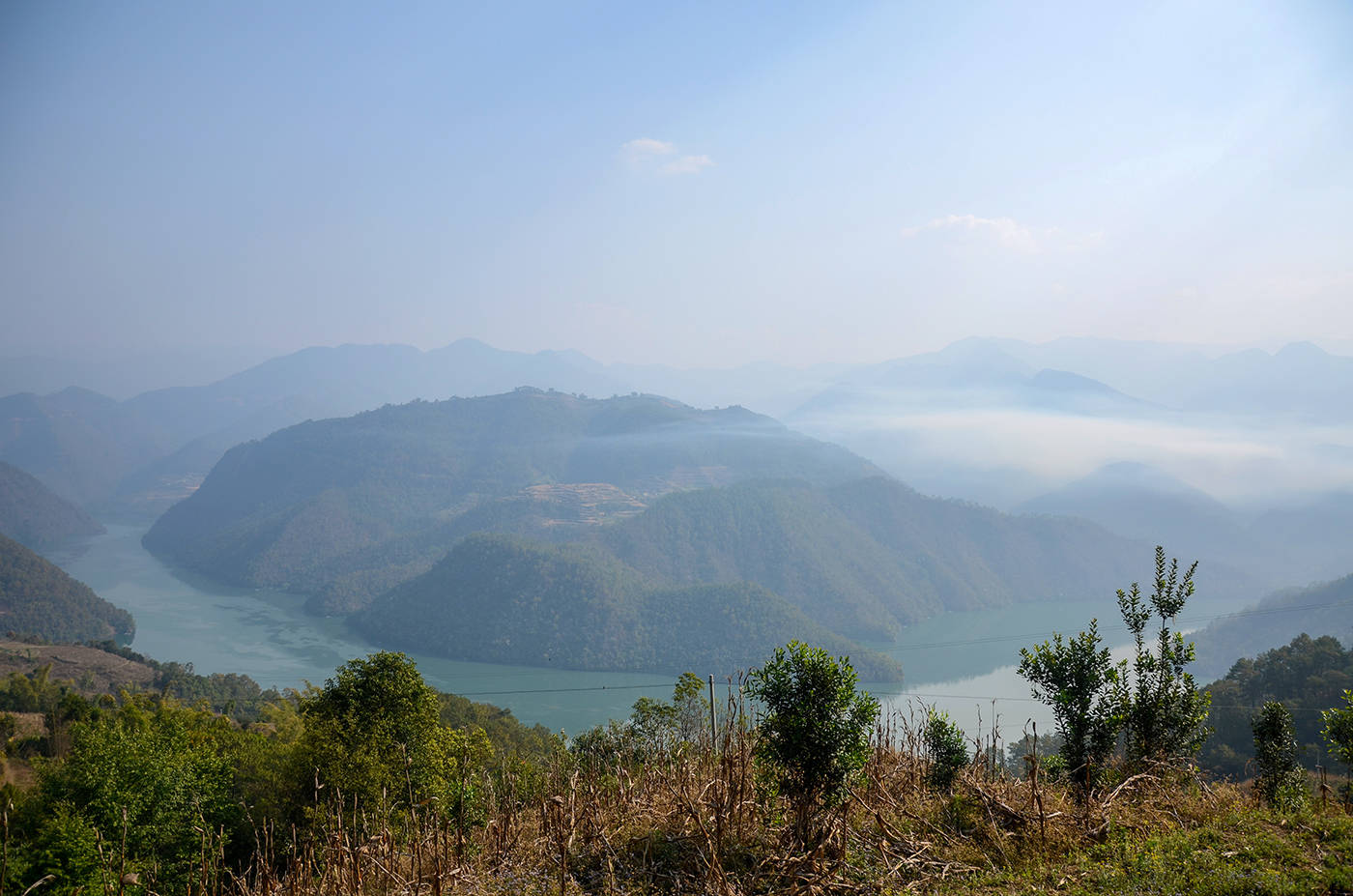 2021年白鶯山古樹秋茶，佛茶有什么魅力？