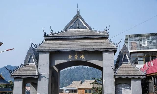 2021年老曼峨古樹秋茶特點？