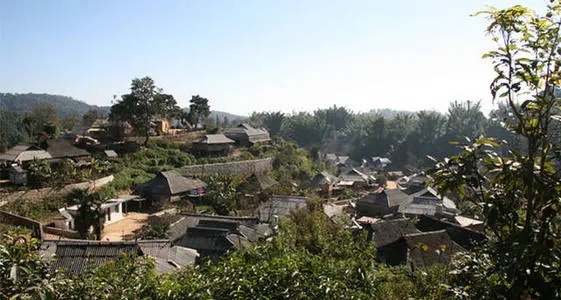 2021年班章茶區(qū)壩卡竜古樹秋茶多少錢一公斤？