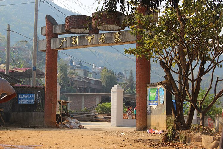 2021年廣別老寨古樹秋茶口感？