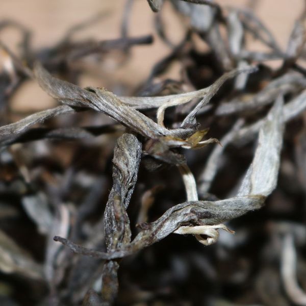 2021年帕沙古樹秋茶，你了解多少？