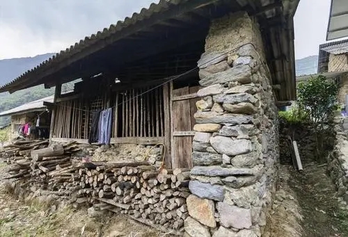 2022年景谷黃草壩古樹(shù)春茶特點(diǎn)是什么？