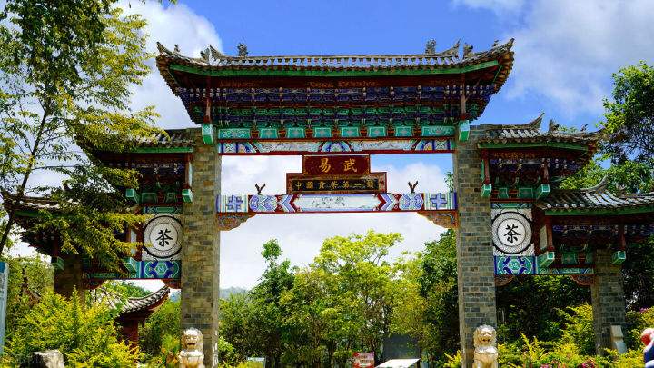 2022年易武正山在哪？易武正山是什么意思？