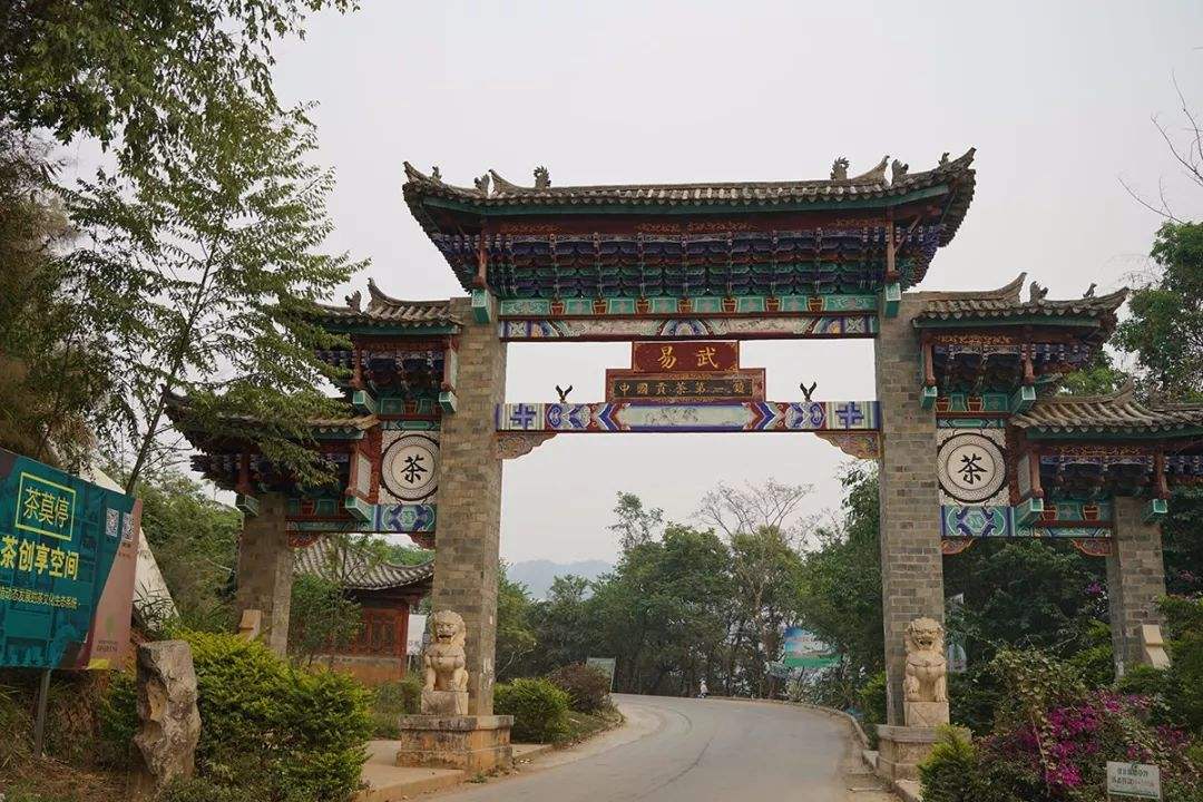 2022年易武正山古樹(shù)春茶特點(diǎn)？