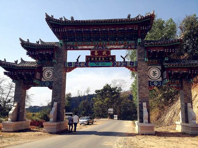 2022年易武正山古樹春茶價格？