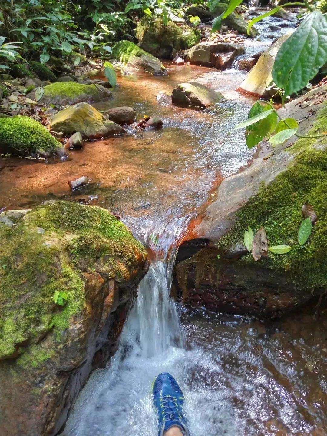 2022年銅箐河古樹春茶多少錢一公斤？