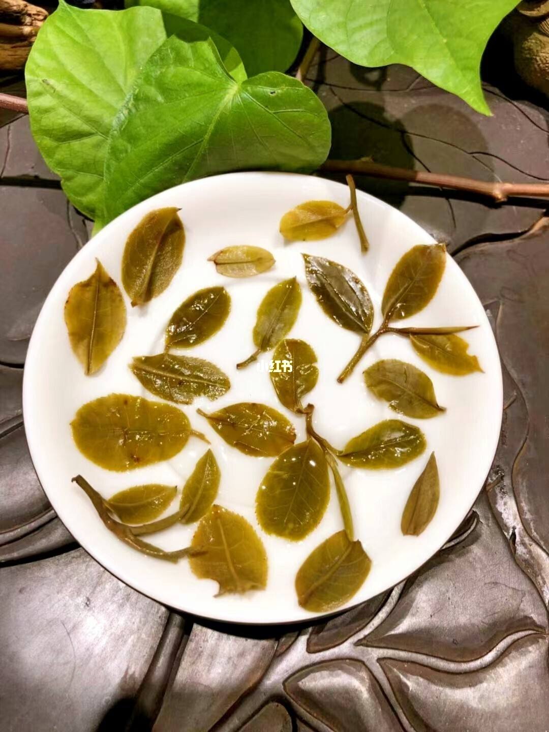 2022年倚邦貓耳朵古樹(shù)春茶多少錢一公斤？