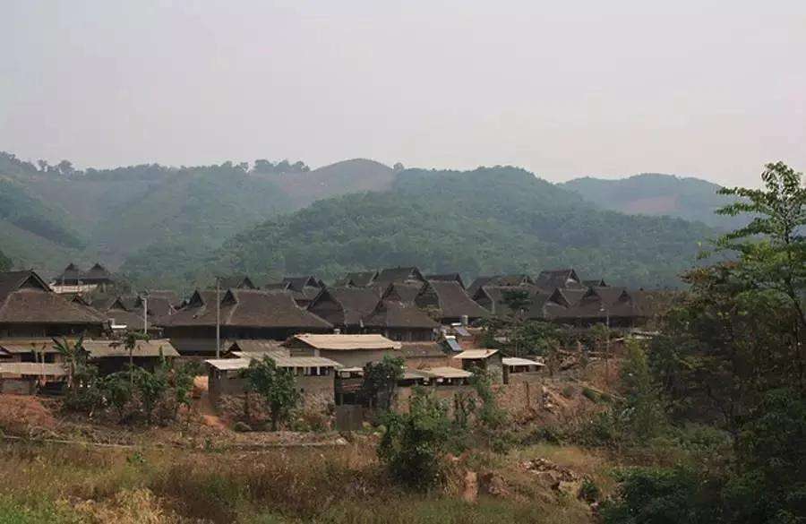 2022年革登古樹春茶特點(diǎn)？