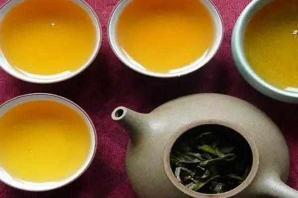 2022年普洱茶怎么泡法才正確？