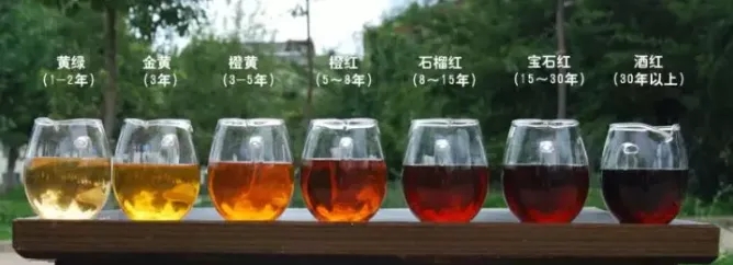 2022年普洱茶的茶湯湯色要怎么描述？
