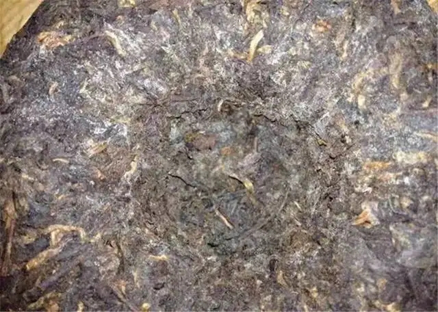 2022年普洱茶受潮發(fā)霉了怎么辦？