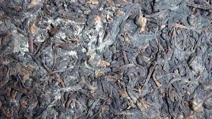 普洱茶怎么樣才算發(fā)霉？