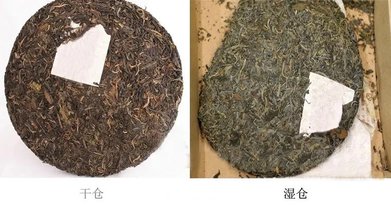普洱茶怎么分辨干濕倉？