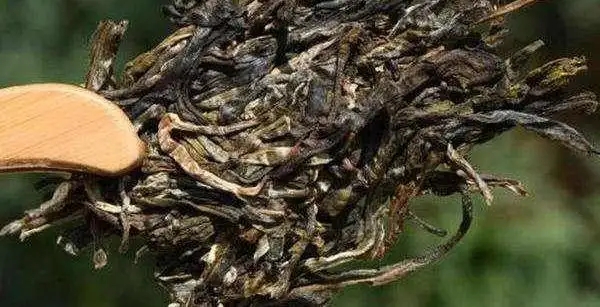 不同普洱茶生產(chǎn)地味道有哪些不同，不同派別的普洱茶味道又如何?