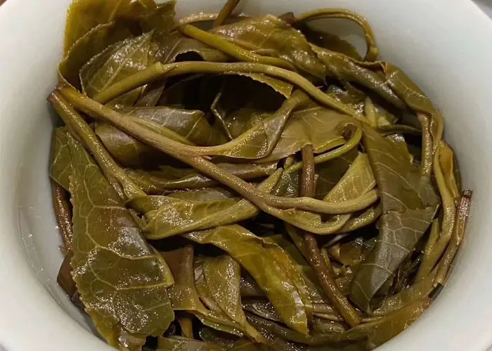 老班章和冰島誰更好喝，要怎么鑒別