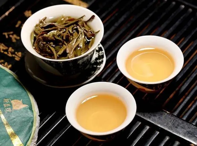 茶會(huì)“說話”，讀懂云南古樹普洱茶的秘訣