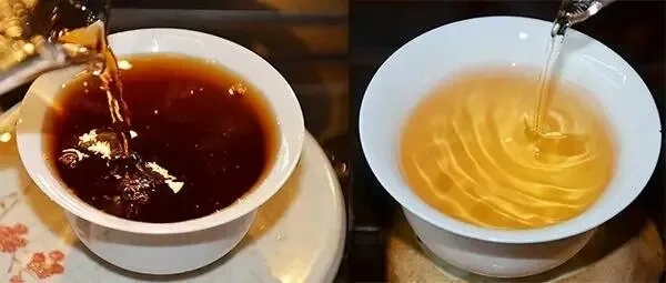 普洱茶湯怎么也會“出油”？