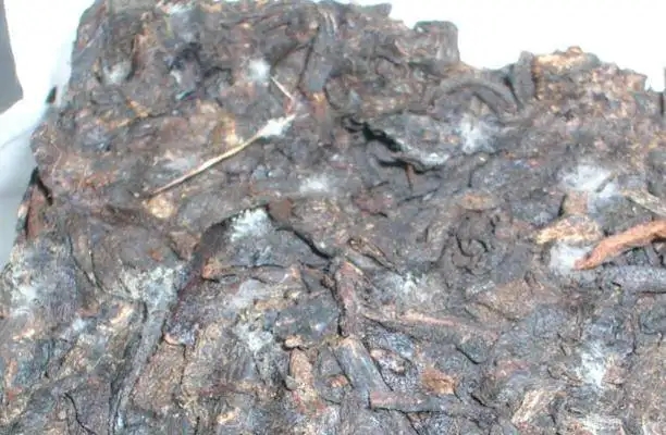 ?普洱茶發(fā)霉了怎么辦？教你妙招應(yīng)對(duì)發(fā)霉的普洱茶！