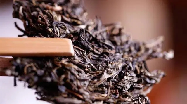 普洱生茶好還是普洱熟茶好喝？如何挑選適合自己的普洱茶？