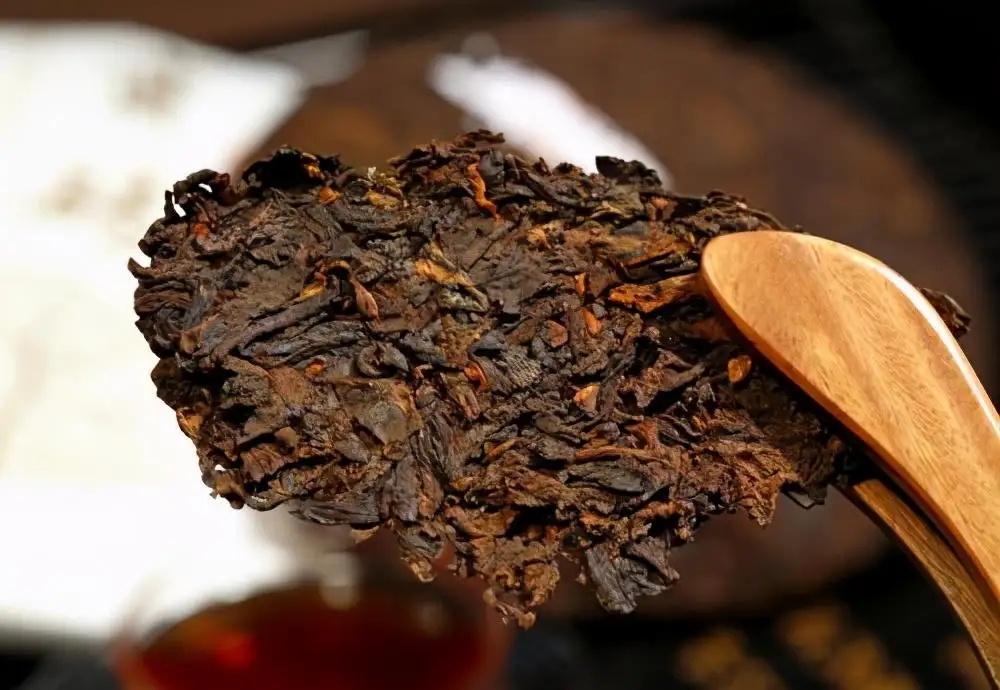 普洱茶生津、回甘、滋味、口感是怎么回事？丨實用