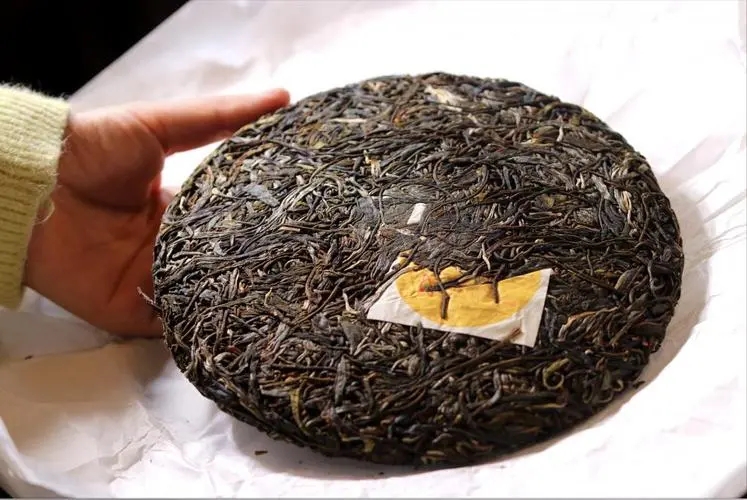 犀牛塘 | 古韻留香，帕沙之王