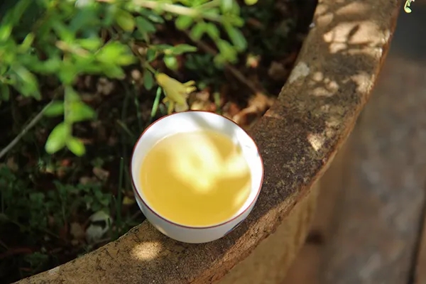 普洱茶越苦澀就代表品質(zhì)越好嗎？