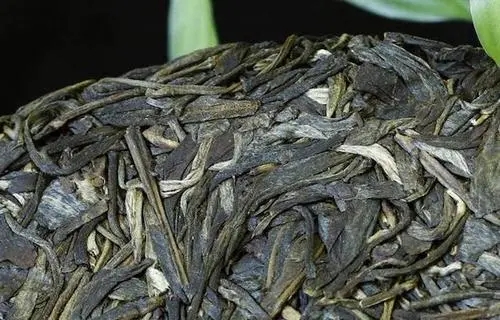 喝普洱茶，一定要喝老茶嗎？