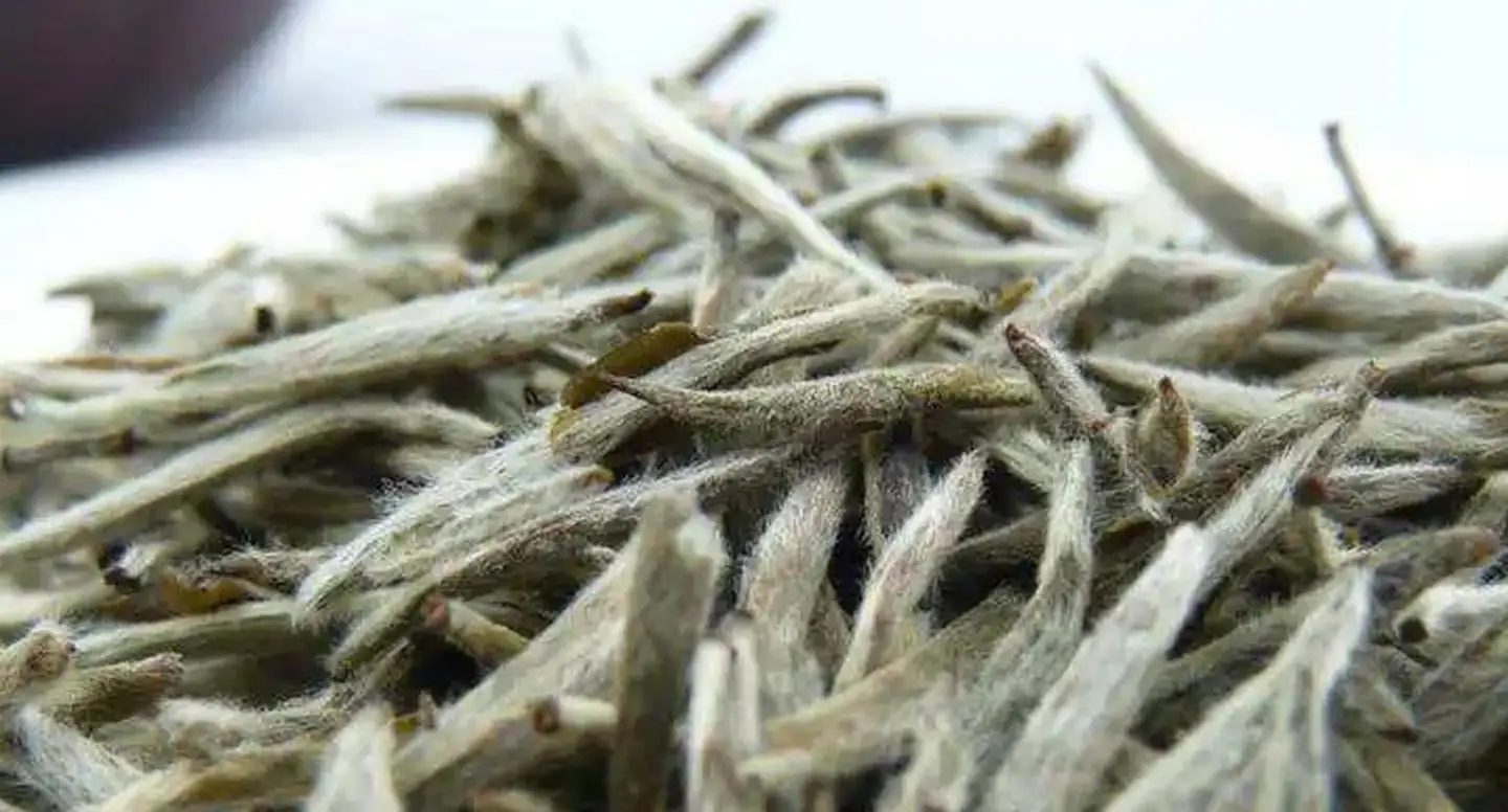 茶毫越多的茶，品質(zhì)就越高嗎？