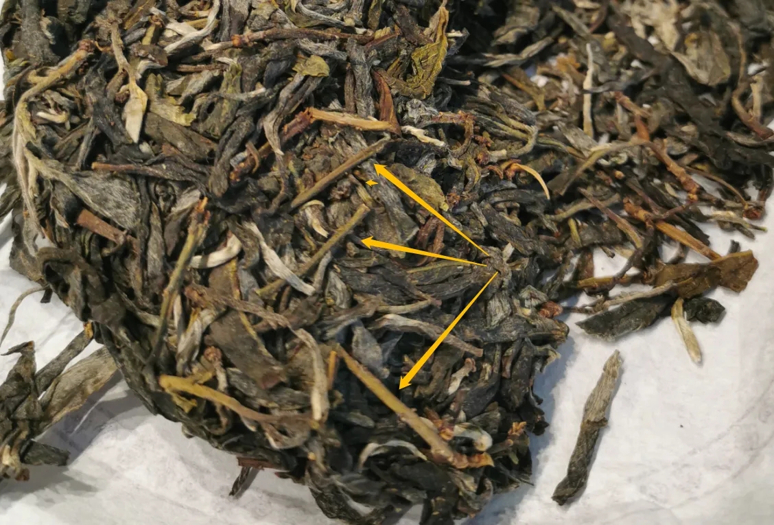 普洱茶的葉底有茶梗，就是茶不好嗎？