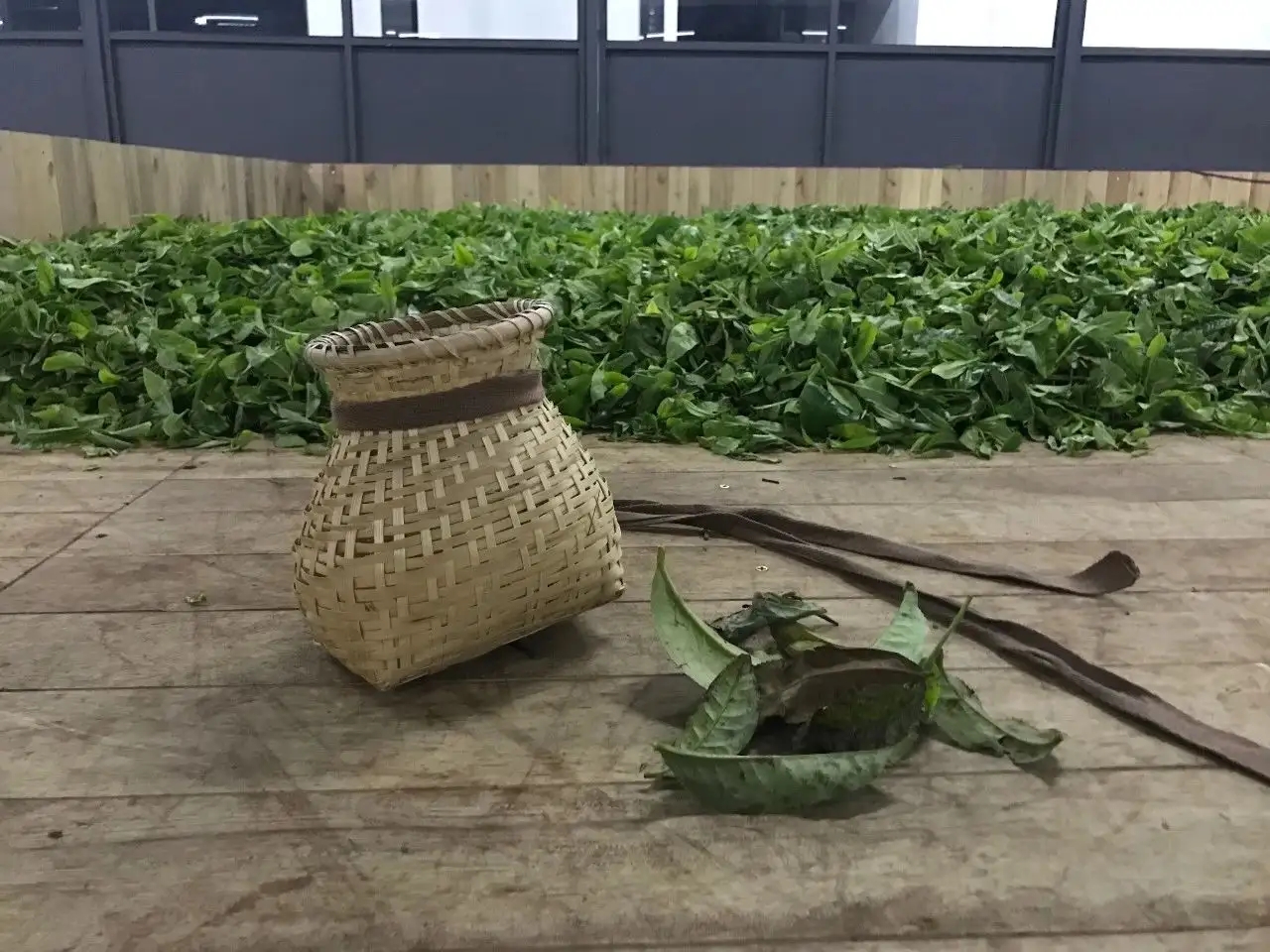 普洱茶，如果不談山頭，我們談什么？